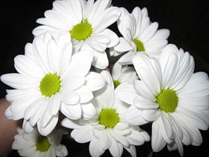 Элла Макарова