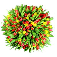 Оля Кузьминых