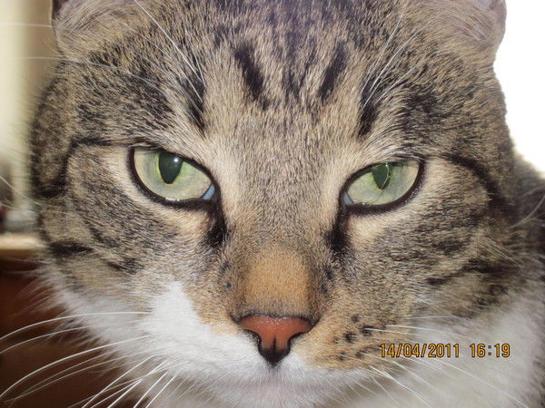 Павел Прокофьев