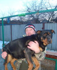 Лев Сергеев