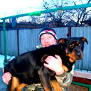 Лев Сергеев