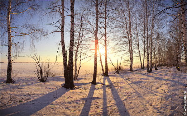 Нургуль Жумагулова