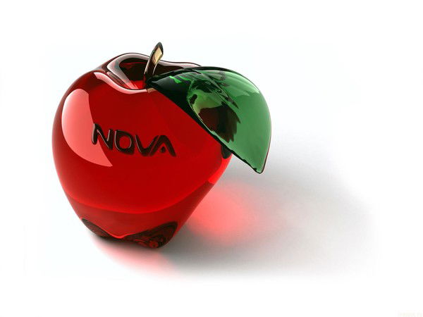 Шахризада Мединова