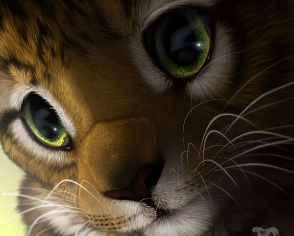 Александр $$$