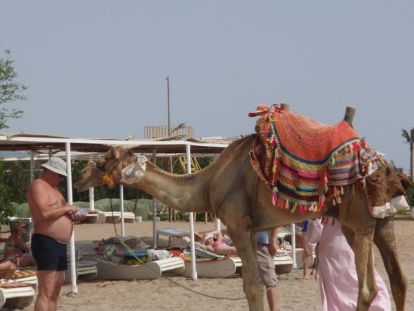 Николай Зважий