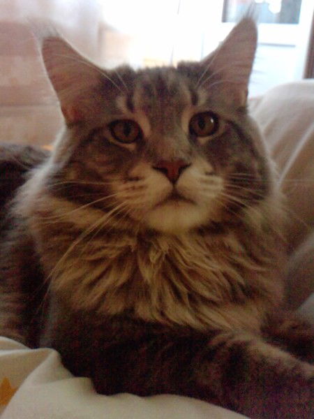 Надежда Катина