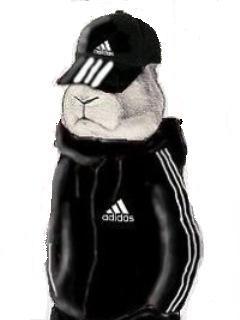 Ранджан Амир