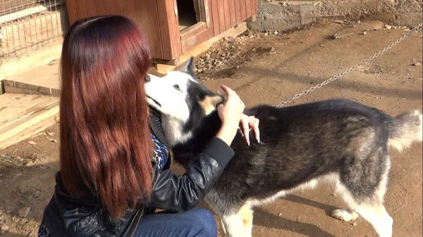 Алина Беликова