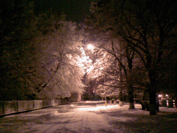 Анастасия Деревянко