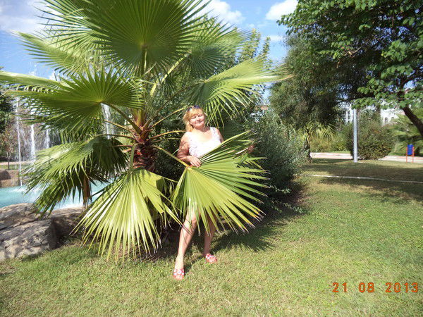 Натали Анискович