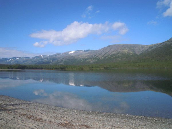 Козлова Ольга