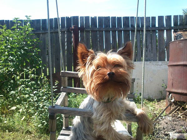 Руслан Леванов