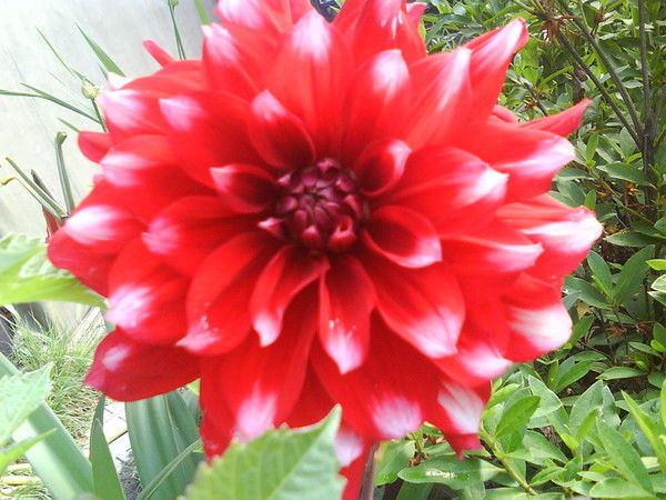 Карина Ераносян