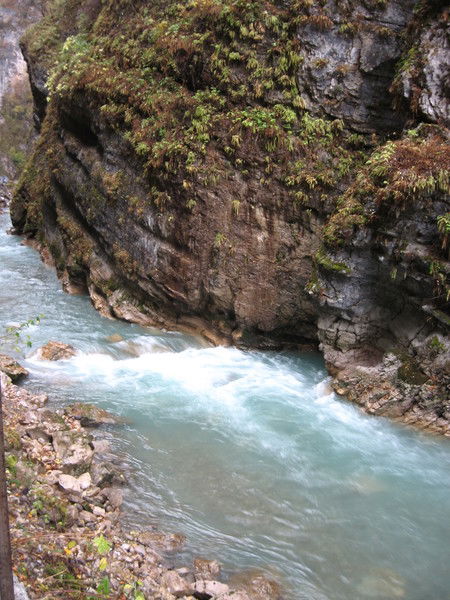 Юрий Гололобов