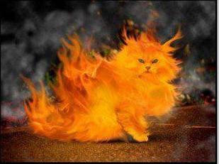 Ростислав Бунин