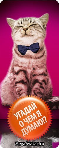 Сергей Нечипоренко