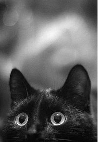 Уланова Наталья