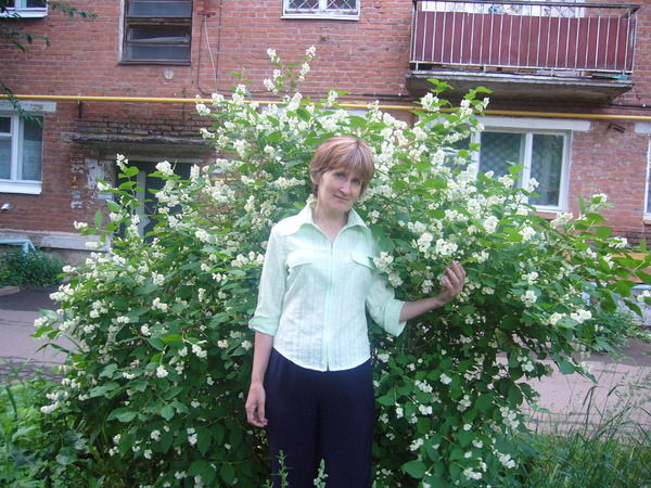 Надежда Лапикова