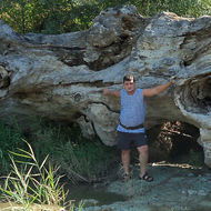 Николай Анисимов