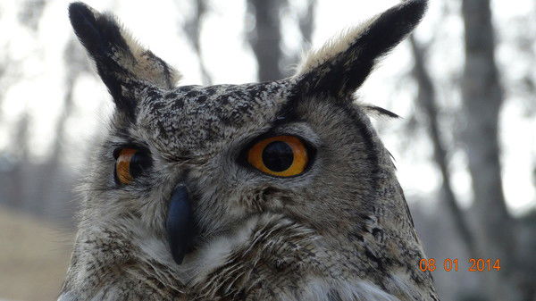 Алексей Андрусенко