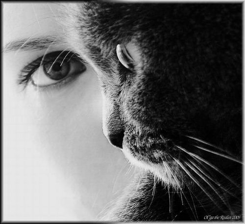 Светлана Подоляк