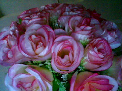 Майра Отеген