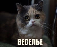 Совершенно Мимо