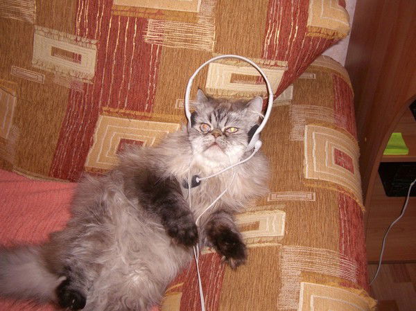 Алексей Багин