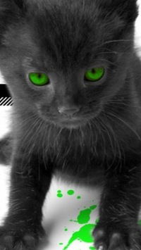 Оленька Новикова