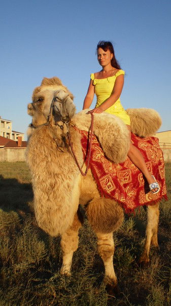 Екатерина Тимофеева