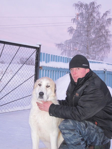 Алексей Андреев