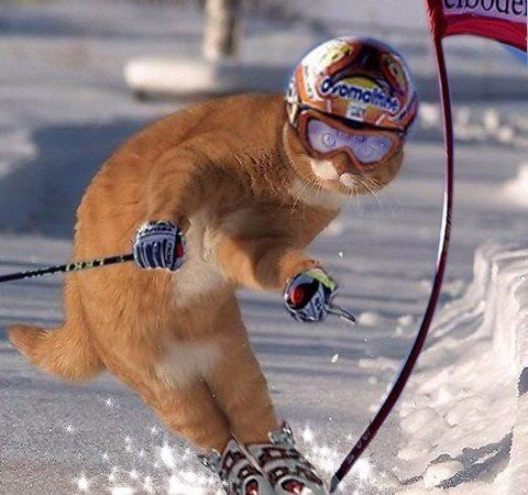 Станислава ***