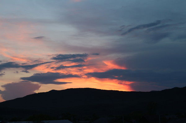 Cветлана Медведева