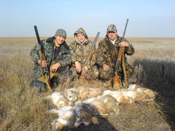 Андрей Медведев