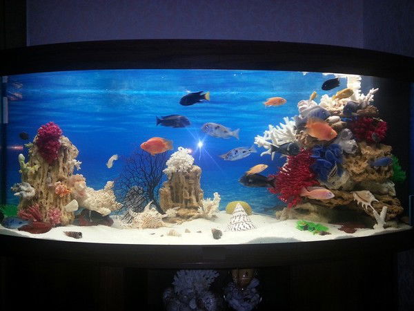 Андрей Иванов