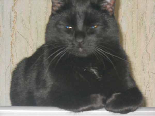 Евгений Ковалев