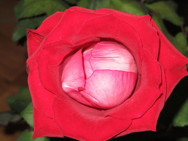 Ринат Гафаров