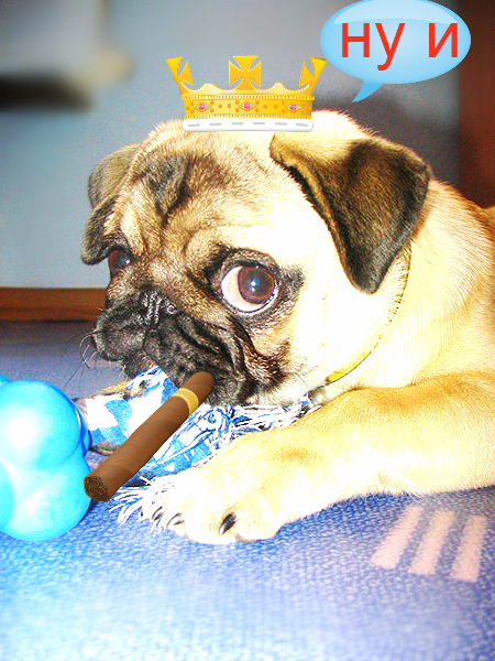 Сергей Тютюнников