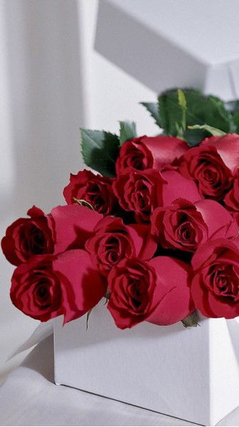 Венера Нышанбаева