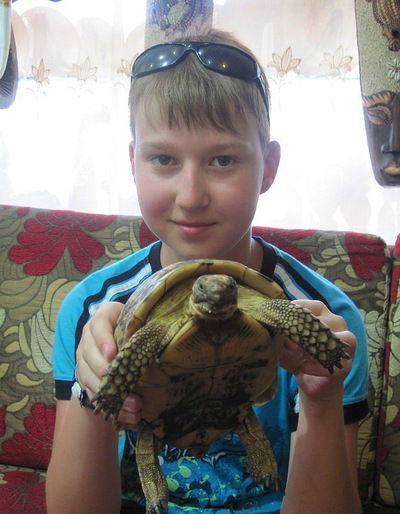 Егор Папковский