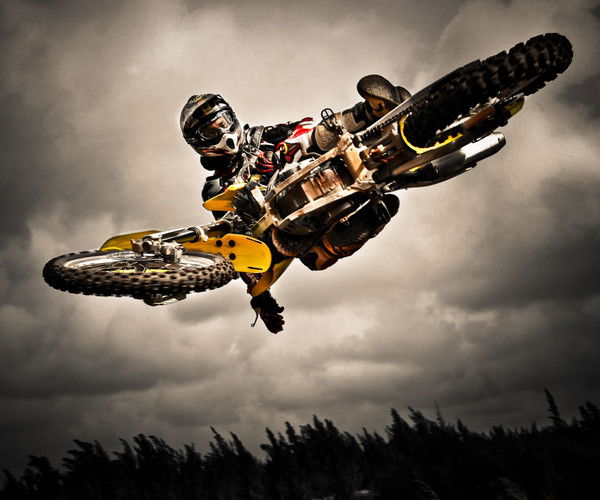 Владимир Новиков