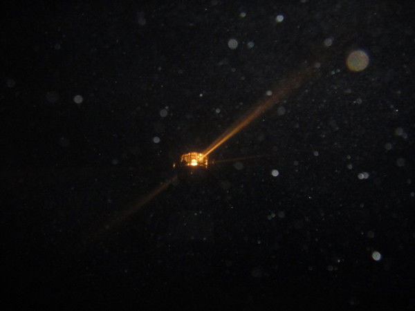 Михаил Даниленко