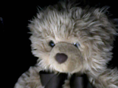 Ник Любимый