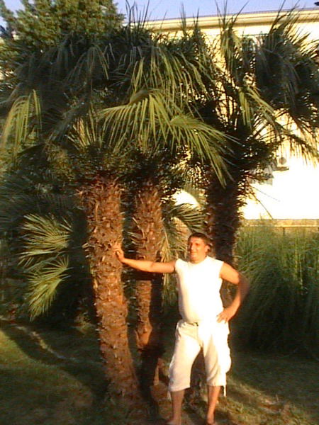 Василий Кутузов