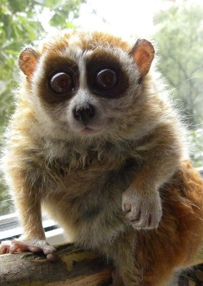 Артур Юрьев