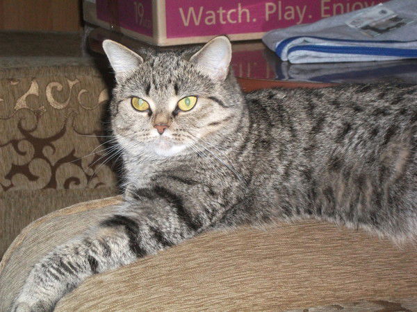 Валентина Сумбаева