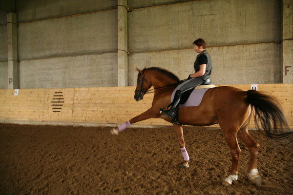 Ирина Верба