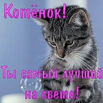 Светлана Сивова