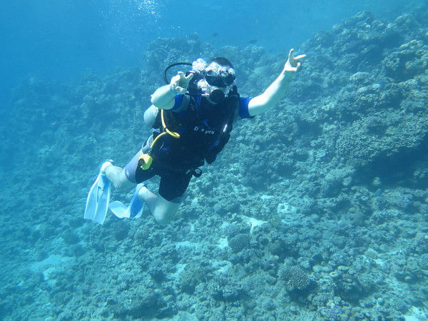 Миша Медведь