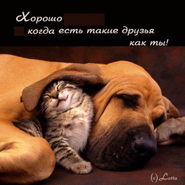 Айжан Оразгалиева